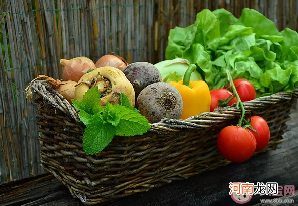 蔬菜|蔬菜怎么烹饪能最大程度保留营养 蔬菜分为哪几类