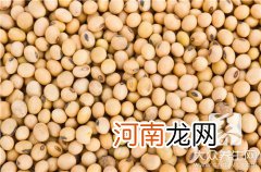 大豆今日最新价格 现在大豆多少钱一斤