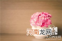 康乃馨花茶能长期喝吗 康乃馨花茶的功效与禁忌有哪些？