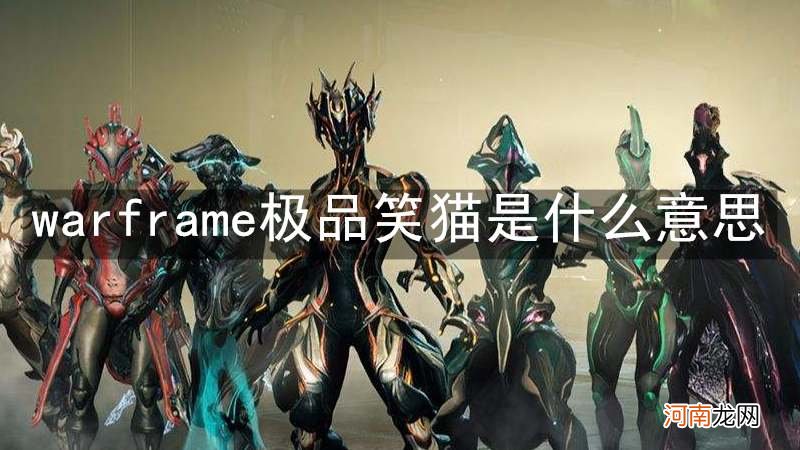 warframe极品笑猫是什么意思