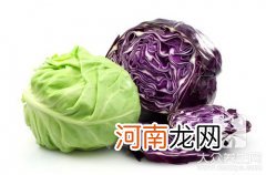 紫色卷心菜的做法大全 紫色卷心菜的做法介绍