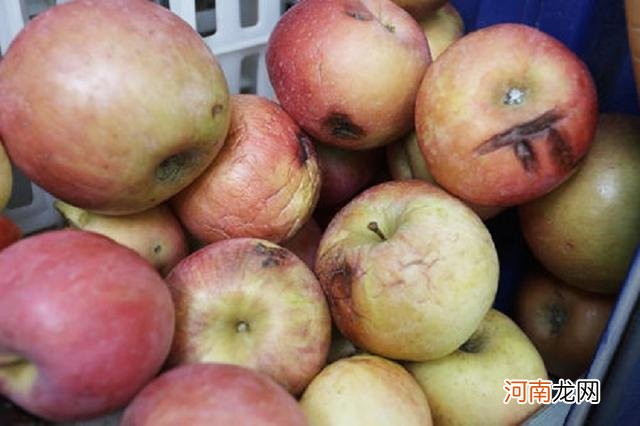 孕妇3年怀俩都是“畸形”，医生：这5种食物伤己伤胎，再馋也别碰