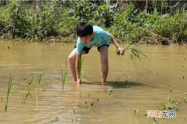 娃该走的弯路一个也不会少，父母懂得吃苦教育，娃长大后更易成才