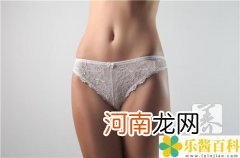 女生殖器外形种类