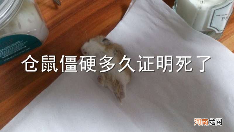 仓鼠僵硬多久证明死了