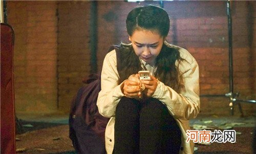 犬系女友什么意思啊