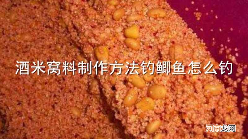 酒米窝料制作方法钓鲫鱼怎么钓