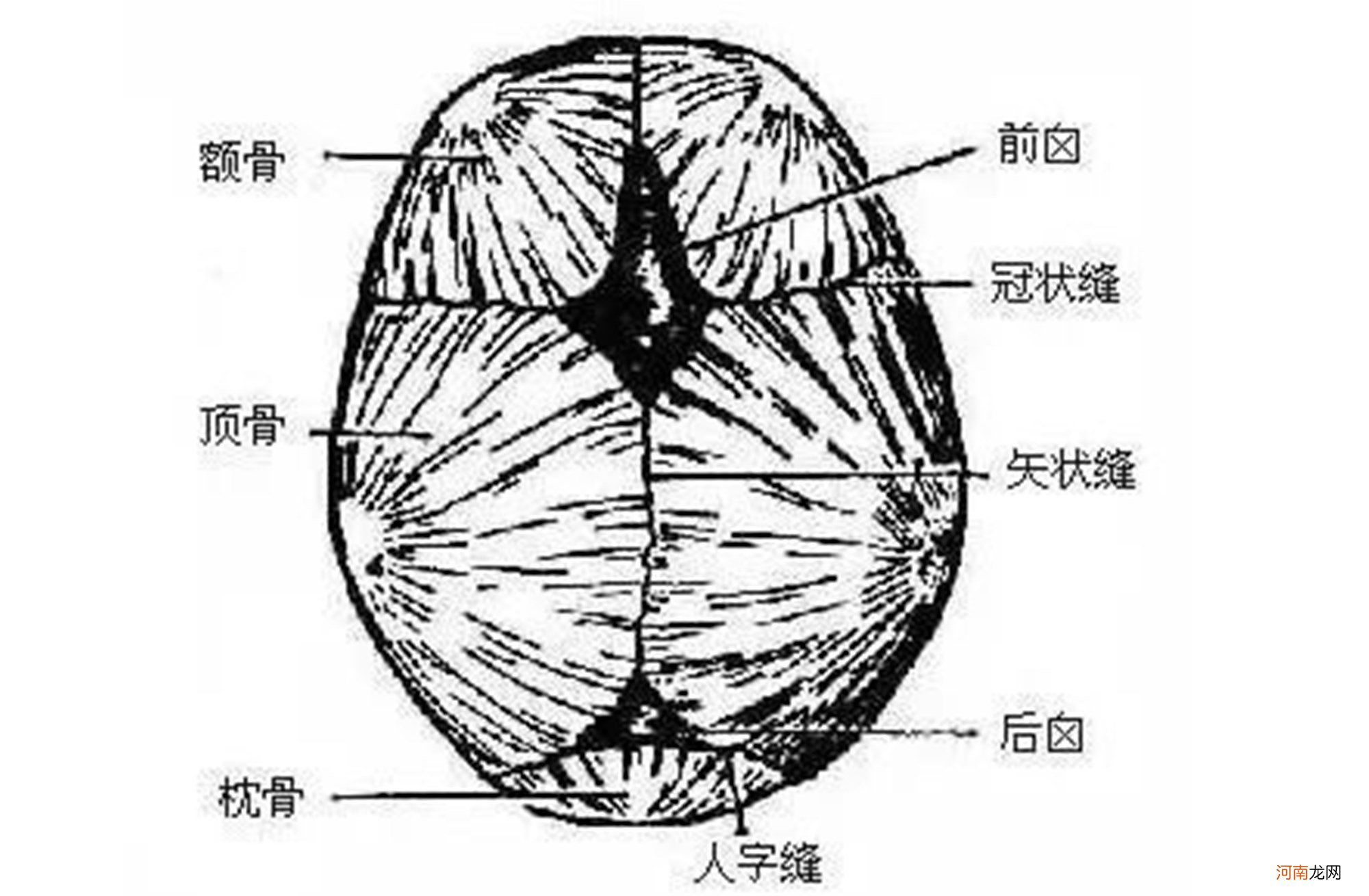 婴儿的囟门不能摸，摸了会“变哑、变傻”？医生：和你想的不一样