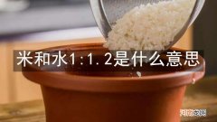 米和水1:1.2是什么意思
