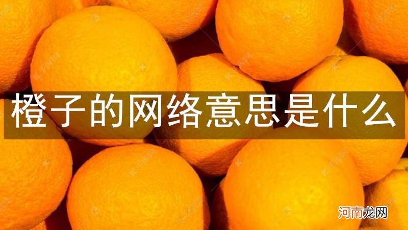 橙子的意思是什么