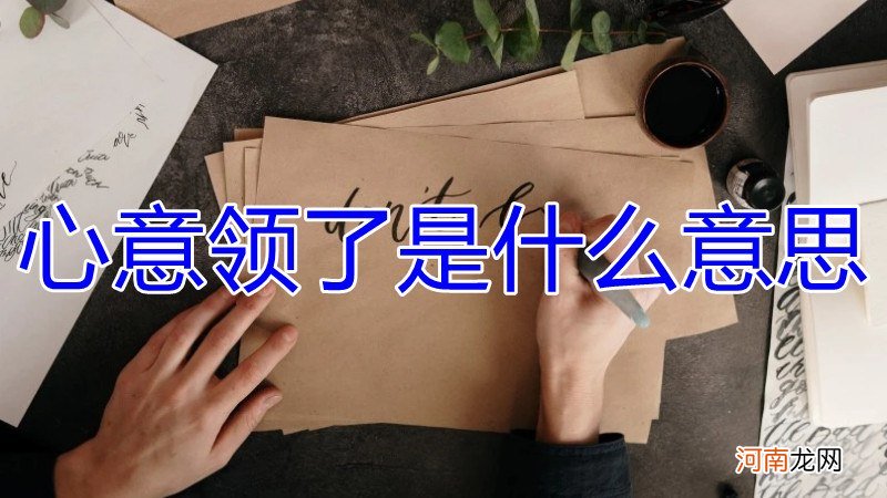 心意领了是什么意思