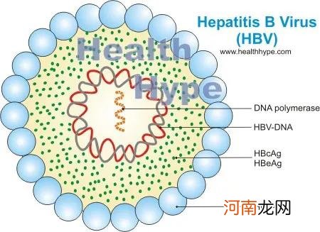 女性有乙肝，如何生育健康宝宝？出生后疫苗怎么打？医生告诉你