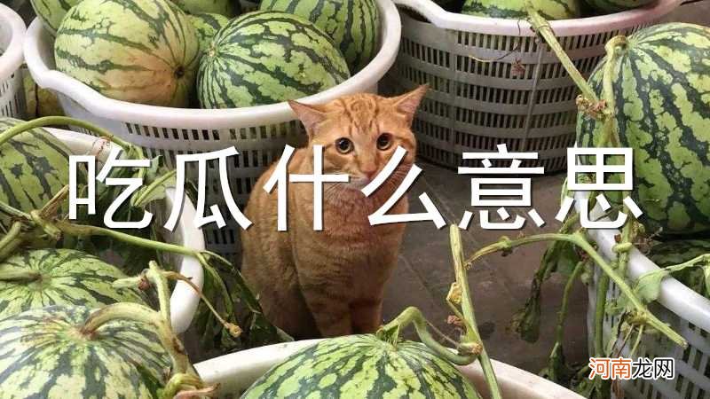 吃瓜什么意思