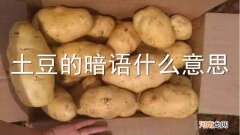 土豆的暗语什么意思