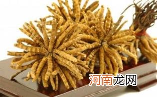 冬虫夏草煲汤煮多长时间优质