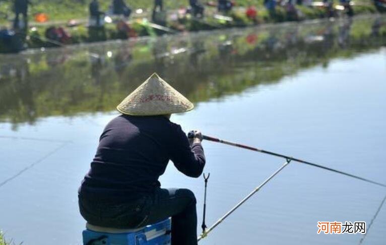 鱼为什么喜欢羊油味