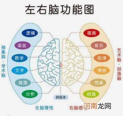 想要对孩子进行大脑开发？专家：应该左右脑平衡进行