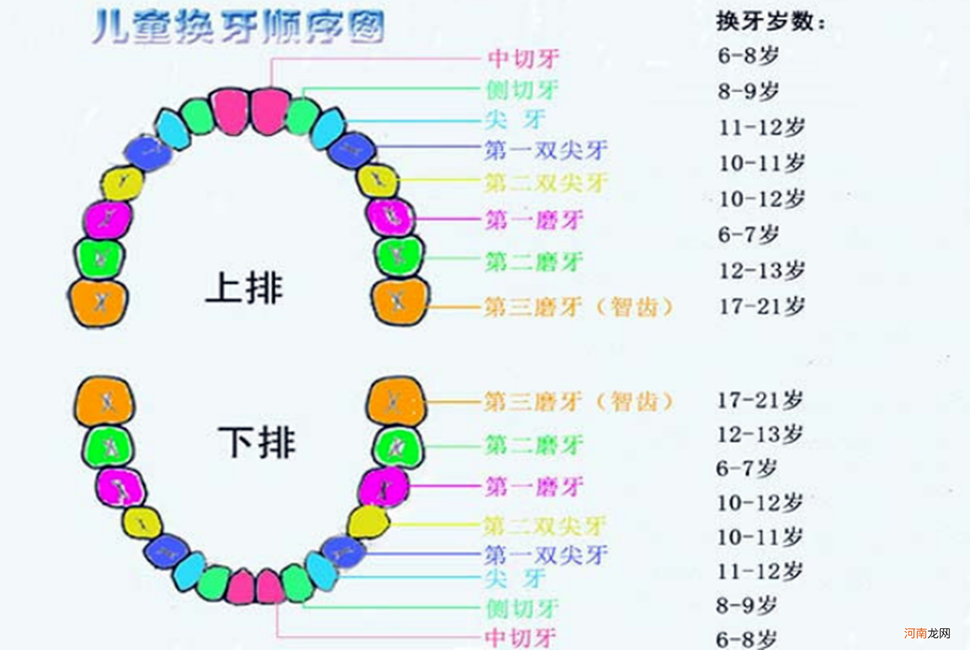 7岁男孩长“双排牙”，原因是妈妈的精细喂养，换牙期宝宝要注意