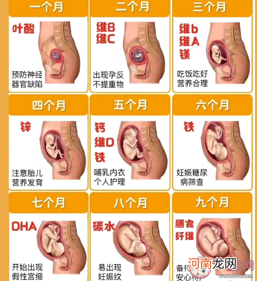 预防出生缺陷|预防出生缺陷应该知道的事有哪些 如何有效预防出生缺陷