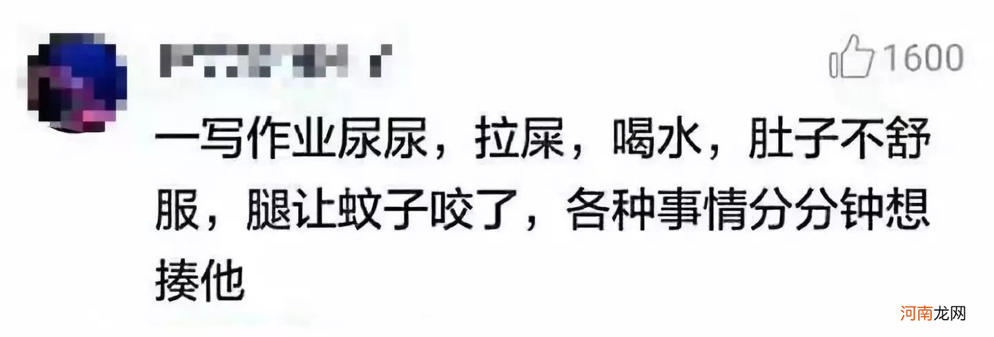 二胎妈妈的尴尬：不敢辅导老大做作业，其他家庭也“有苦难言”