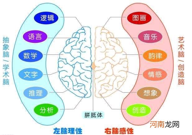 脑科学家揭露孩子不爱阅读的原因，方法对了让孩子拥有“阅读脑”