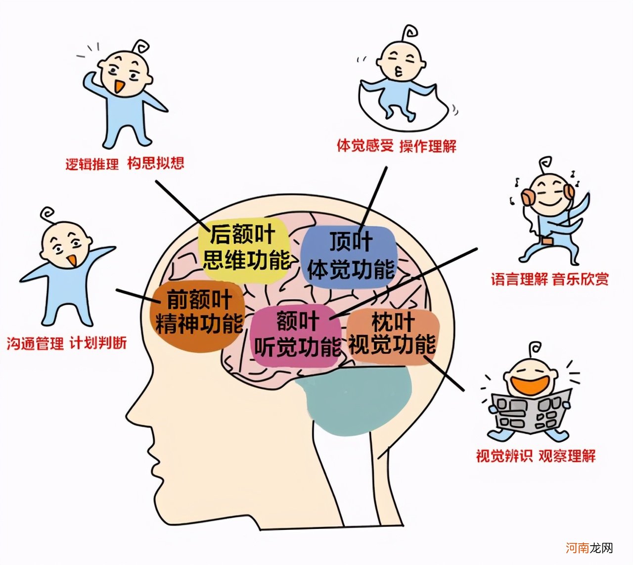 想缩短孩子之间的差距？2岁开始培养3种能力，尤其是娃的词汇量