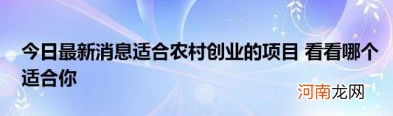 今日最新消息适合农村创业的项目看看哪个适合你