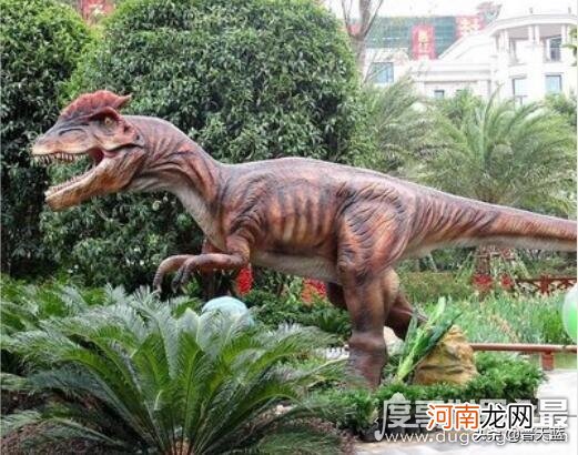 中国最厉害的食肉恐龙排名榜 最厉害的恐龙