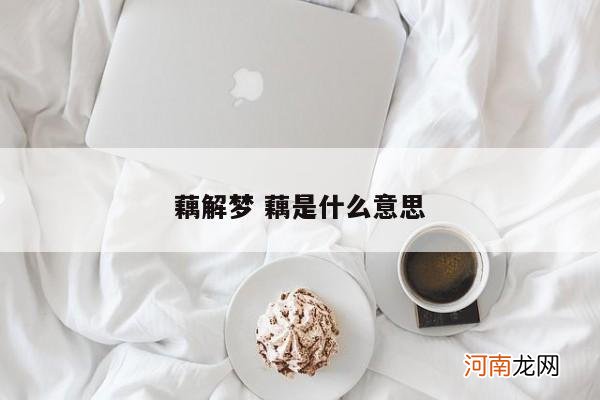 藕解梦 藕是什么意思