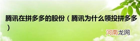 腾讯为什么领投拼多多 腾讯在拼多多的股份