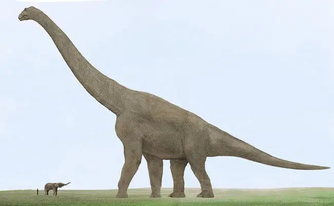 最高的恐龙是什么恐龙有多高 最高的恐龙