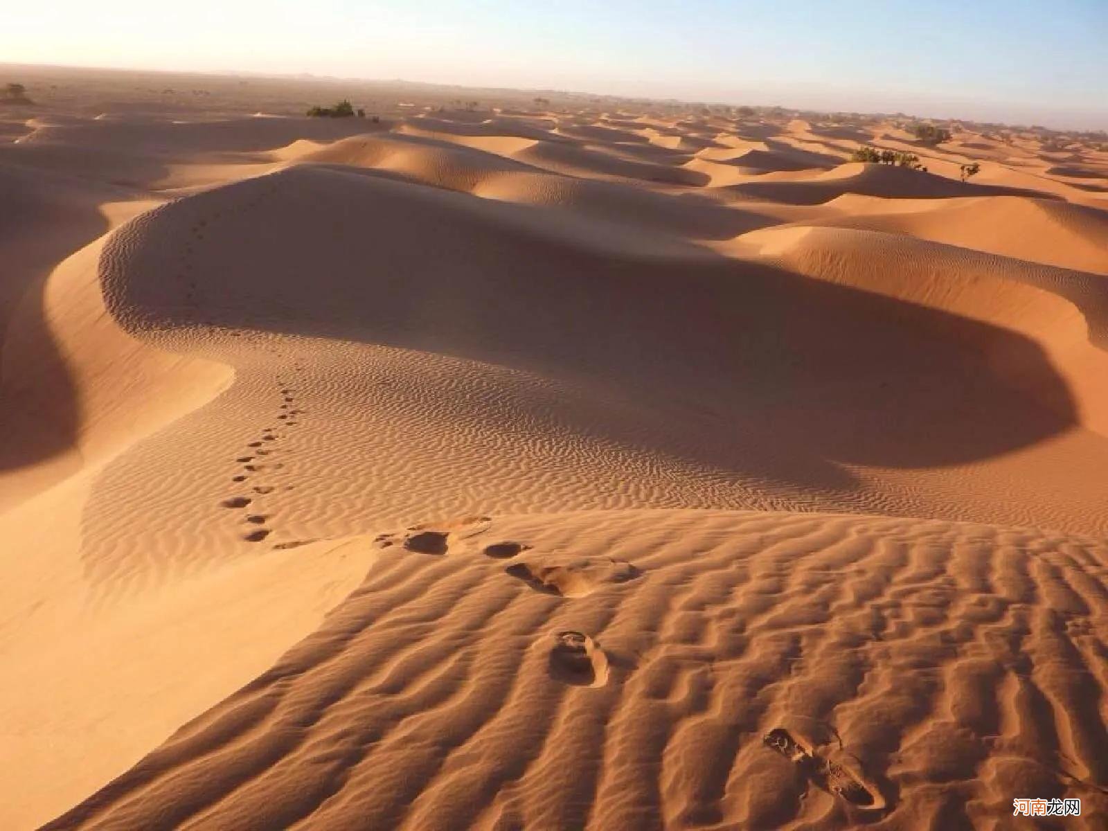 最大的沙漠是哪个沙漠在哪个国 最大的沙漠
