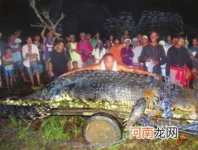 古斯塔夫鳄鱼还活着吗 古斯塔夫鳄鱼