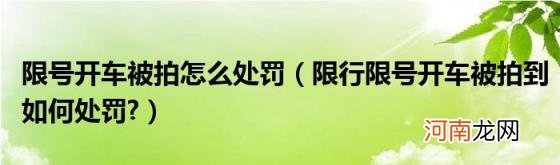 限行限号开车被拍到如何处罚? 限号开车被拍怎么处罚