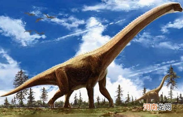 最大的恐龙排行榜前十名 世界上最大的恐龙
