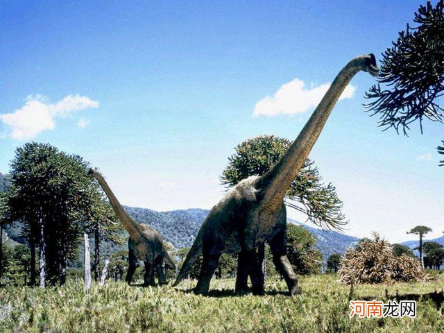 最大的恐龙排行榜前十名 世界上最大的恐龙