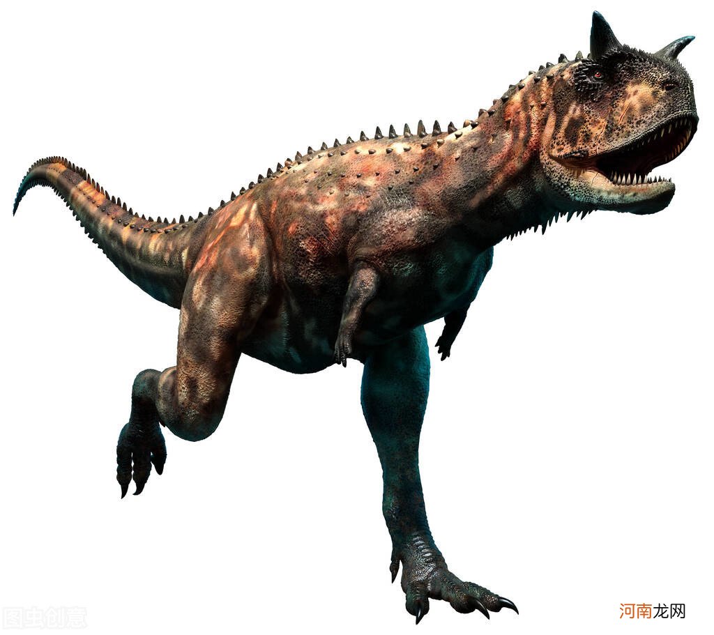 凶猛的大型食肉恐龙有哪些 食肉恐龙有哪些