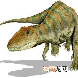 最大的食肉恐龙前十名 最大的食肉恐龙是什么龙