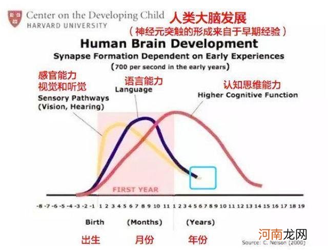 哈佛研究：孩子大脑有3次发育的高峰期，父母要抓住机会