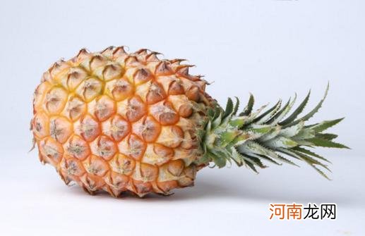 菠萝可以放冰箱冷藏保存吗 菠萝能放冰箱冷藏吗