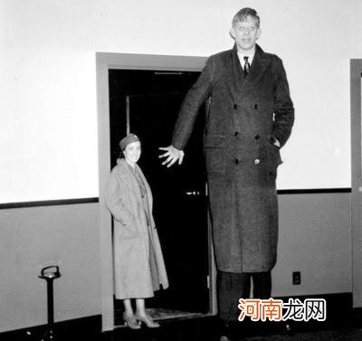 世界第一高的人多高 世界最高的人是谁