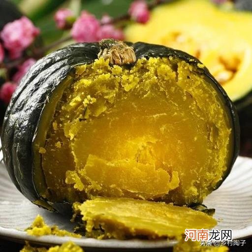 贝贝南瓜种植 贝贝南瓜好管理嘛？想种植一些？