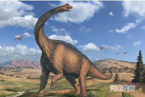 体型最大的恐龙是什么 什么恐龙最大