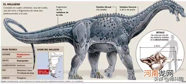 世界上最大的恐龙是啥 世界上最大的恐龙是什么恐龙