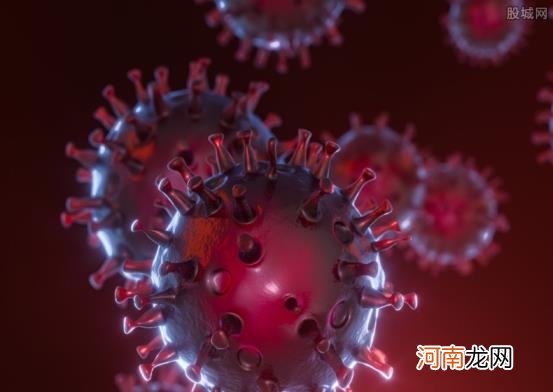近两年中国已报告近20例霍乱病例 武汉哪个地区有霍乱病例？