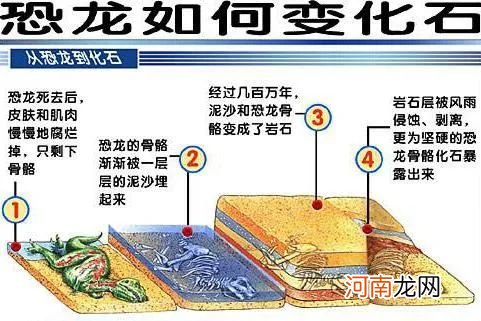 至今为止地球的年龄约有多少亿年 地球的年龄约有