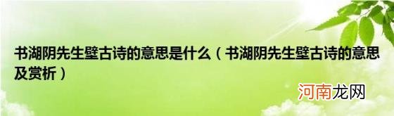 书湖阴先生壁古诗的意思及赏析 书湖阴先生壁古诗的意思是什么