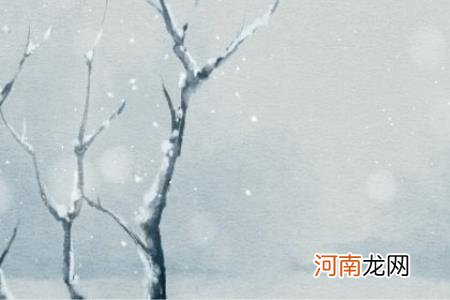 小雪节气养生知识 2022年小雪宜吃的养生食物