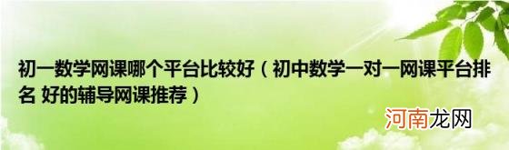 初中数学一对一网课平台排名好的辅导网课推荐 初一数学网课哪个平台比较好