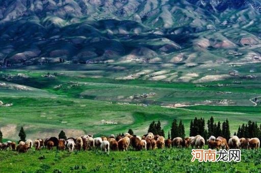 新疆有多少个市 新疆有几个4A,5A景区？